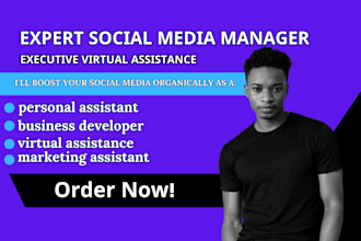 virtual assistant, social media manager for instagram, facebook, tiktok, youtube