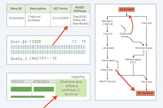 perform gene annotation and functional analysis