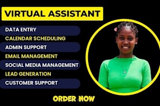 be your social media manager VA executive virtual assistant admin support