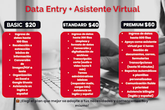 your virtual assistant for data entry and admin tasks bilingual