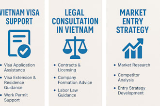 assist with vietnam visa services and provide legal and market consultation