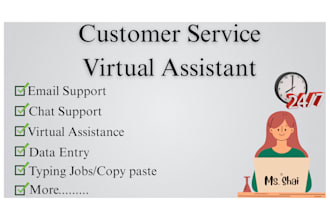 provide customer support service and virtual assistant