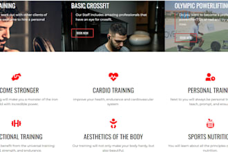 develop modern mobile responsive fitness gym website
