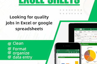 clean, format and organize your excel or google spreadsheets