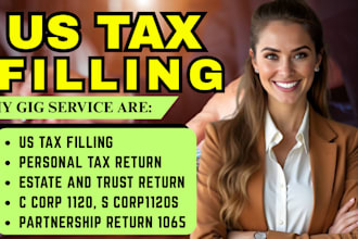 create US tax return for individual and business, 1040, 1120, 1065