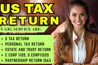 prepare US tax return, US tax returns, business tax 1120 5472 1040 cpa