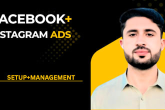 setup targeted facebook and instagram ads for you