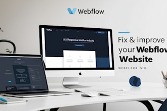 build, update, and fix problems on your webflow site