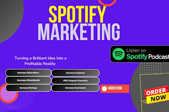 do professional spotify music promotion