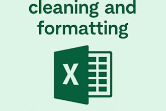 do excel data cleaning and apply conditional formatting
