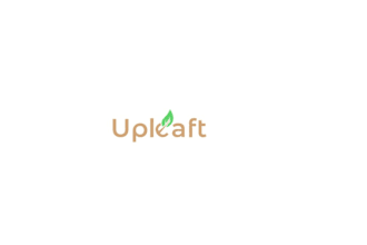 design a modern leaf logo for your business or brand