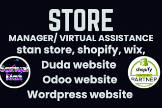 be stan store, shopify, wix, duda website, odoo, or wordpress website manager