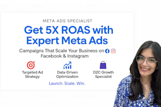 set up and manage high converting facebook, instagram and linkedin ads campaigns