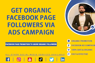 run facebook ads campaign to grow page organic followers
