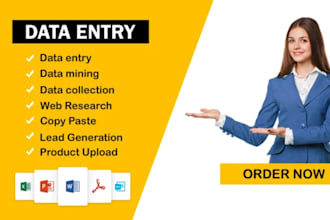 do excel data entry, convert pdf, copy paste, web research, typing,data analysis