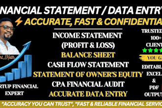 prepare gaap or ifrs financial statements, cpa audit, and fast data entry