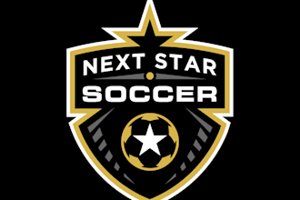 design a custom sports logo for your soccer, basketball