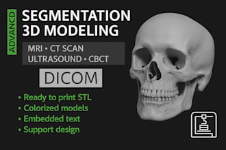 segment organ from ct or mri scans and create 3d printable models