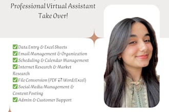 be your virtual assistant for data entry and admin tasks