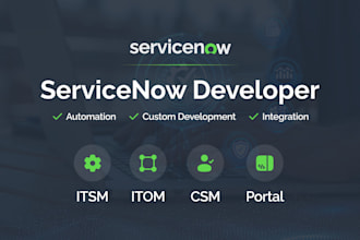 be your servicenow developer for itsm, itam, csm and portal