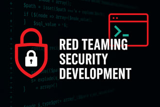 provide IT support and develop secure software I will assess system security
