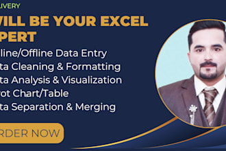 do excel data cleaning, data analysis and data analyst