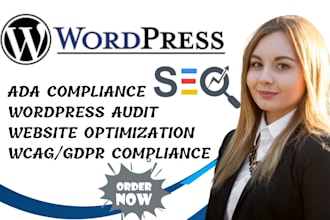 wordpress site accessibility optimization for ada compliance, wordpress audit