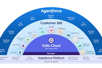 be your salesforce n8n mcp expert