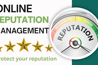 provide orm,reverse seo,online reputation management service