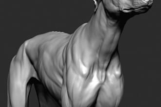 sculpt your pet into legendary 3d character, 3d animal model
