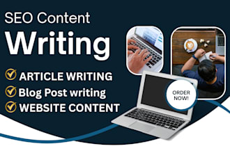 write SEO blog posts and high quality articles for your website or niche
