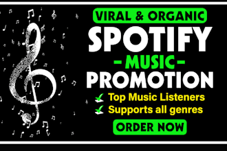 promote your song with spotify ads  playlists