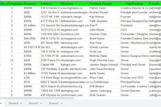 provide real time, high quality forex leads, crypto lead, crypto email list