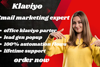 setup klaviyo email marketing flows shopify klaviyo  template design expert
