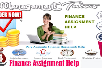 accounting, finance assignment, financial analysis report and excel project