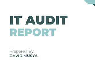 provide information security audits