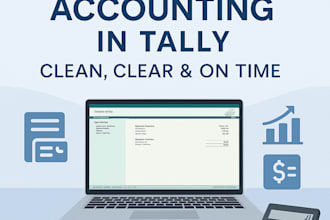 provide tally bookkeeping and accounting services
