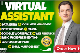 be your professional virtual assistant