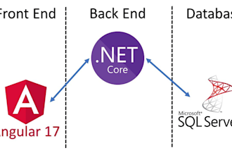 be your expert angular and dotnet core developer