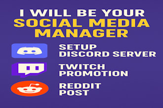 be your social media manager setup discord server, twitch promotion, reddit post