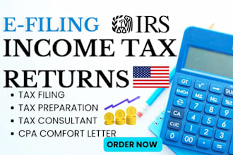 prepare, efile US CPA tax return, audit financial statement, comfort letter, llc