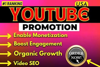 do organic youtube video channel promotion to get organic 1 million USA views