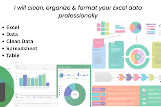clean, organize and format your excel data or CSV data