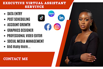 be your expert virtual assistant for admin  executive support