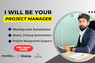 do project management  clickup asana monday trello automation