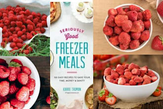 design a beautiful, professional digital cookbook