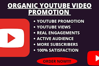 do organic youtube promotion to boost your views and subs