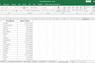 do professional data entry and data analyst