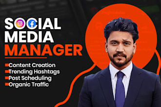 do monthly social media management, SMM, music, instagram, social media manager