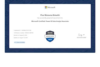 be your microsoft power bi developer and data analyst